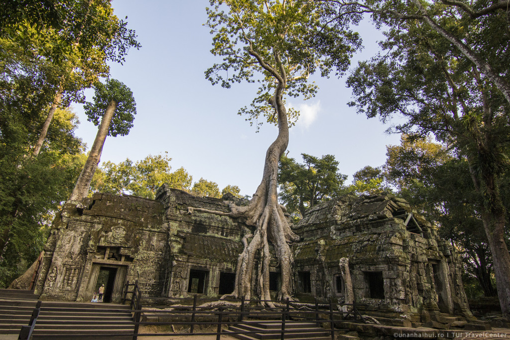 IMG_5406_ta_prohm