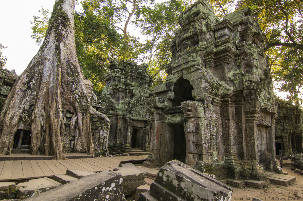 IMG_5431_ta_prohm