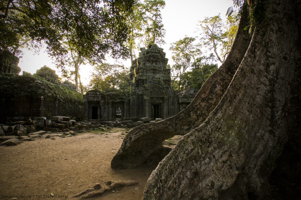 IMG_5437_ta_prohm