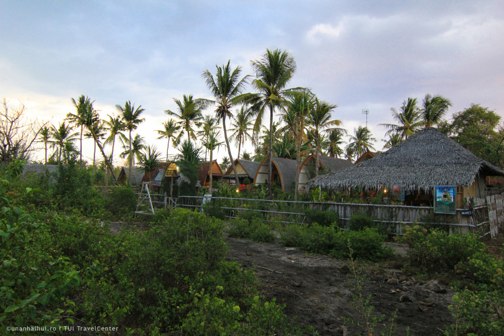 Drumul catre bungalow