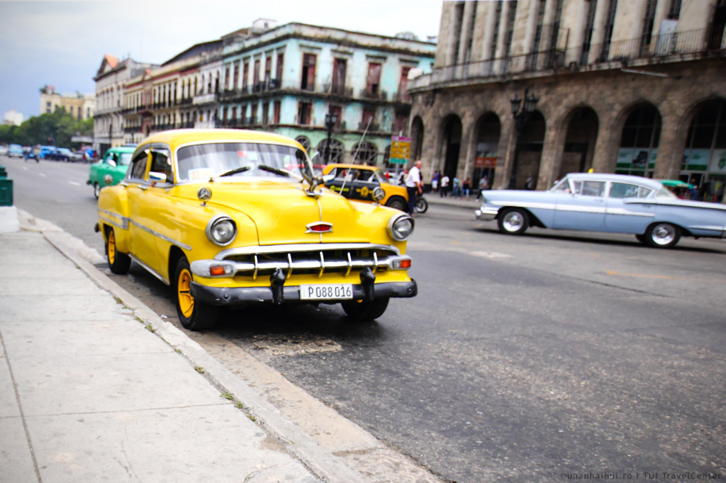 IMG_8668_havana