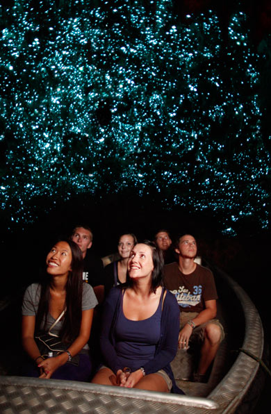 Copyright Waitomo Glowworms Caves